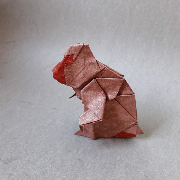 singe Origami