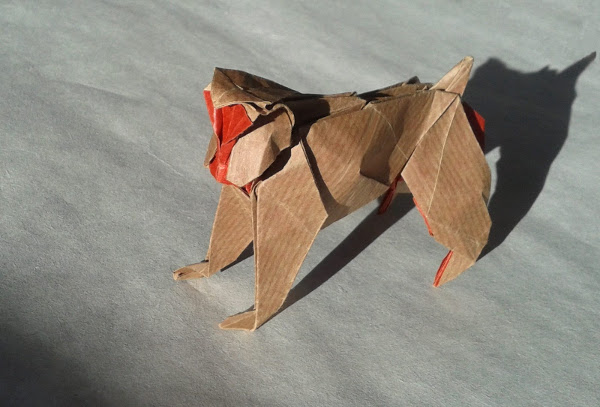 singe Origami