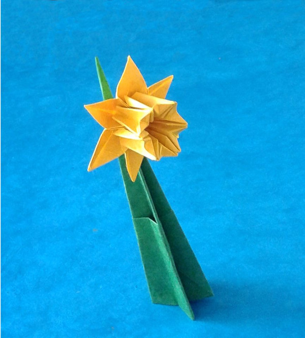 narcisse Origami